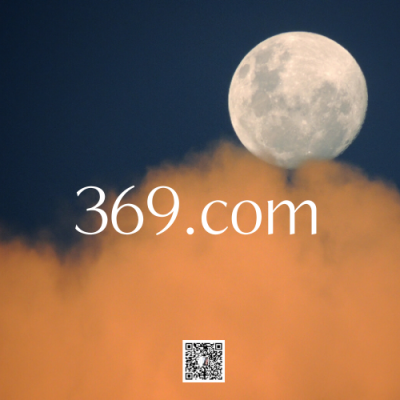 369.com 